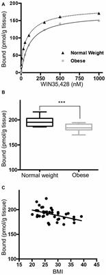Altered Dopamine Synaptic Markers in Postmortem Brain of Obese Subjects